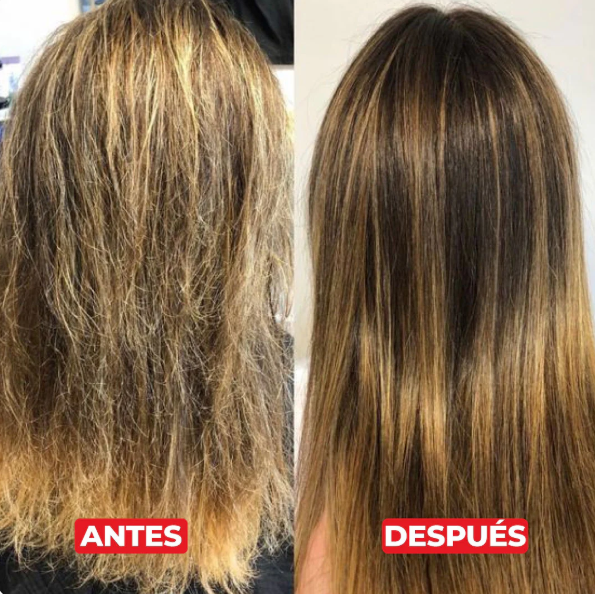 Javiera C. La Serena